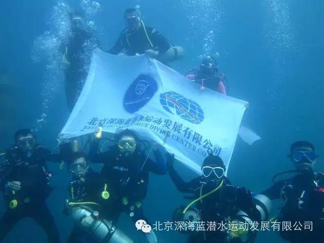 救援七星瓢虫